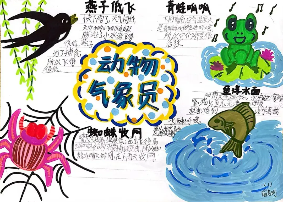 小小动物气象员,探秘大自然真奇妙