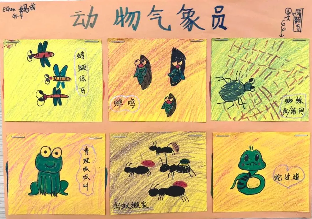 自然探索
