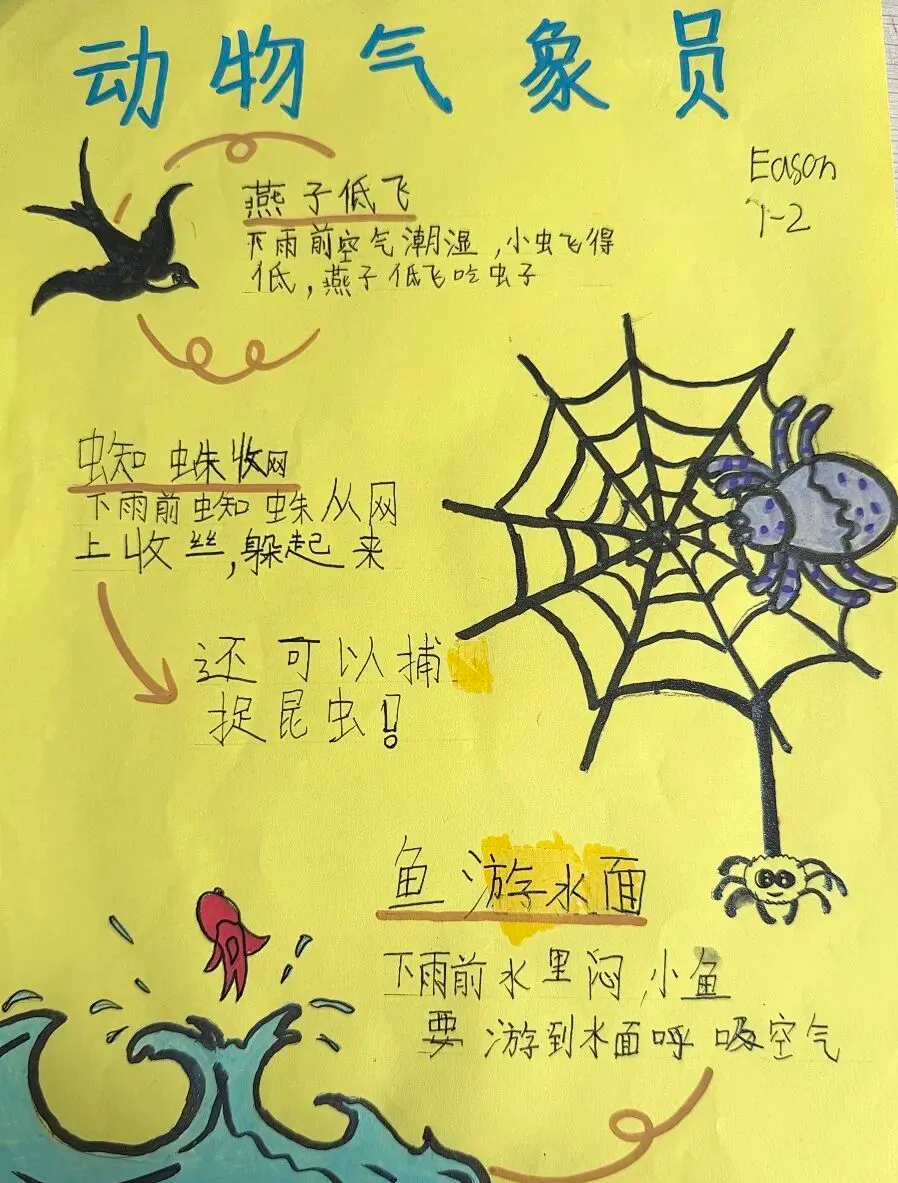 自然探索